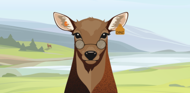 Seeka landing page image