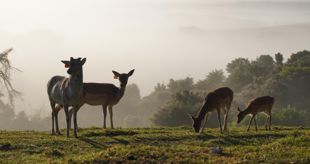 Iryna Uriupina Family first