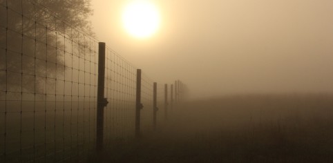 Fence fog HilsonR lores