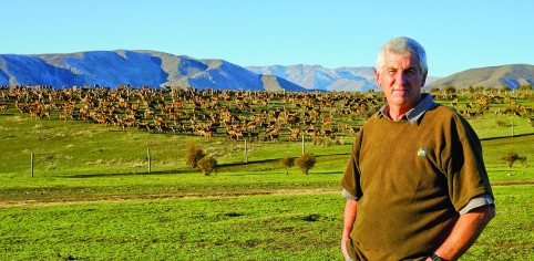 Paddy Boyd on farm