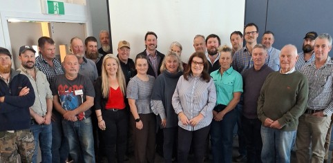 branch chairs group 1