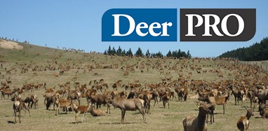 Landing page image for DeerPRO Update