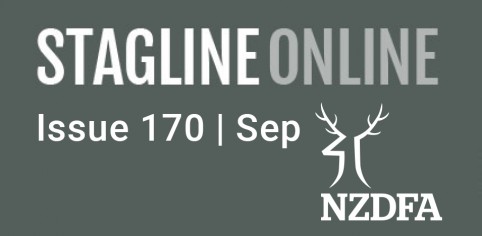 Stagline Online Landing page image Sep 21