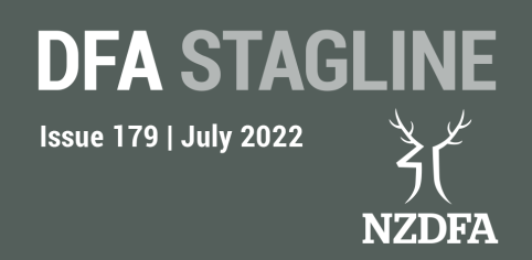 DFA Stagline landing page image 2022