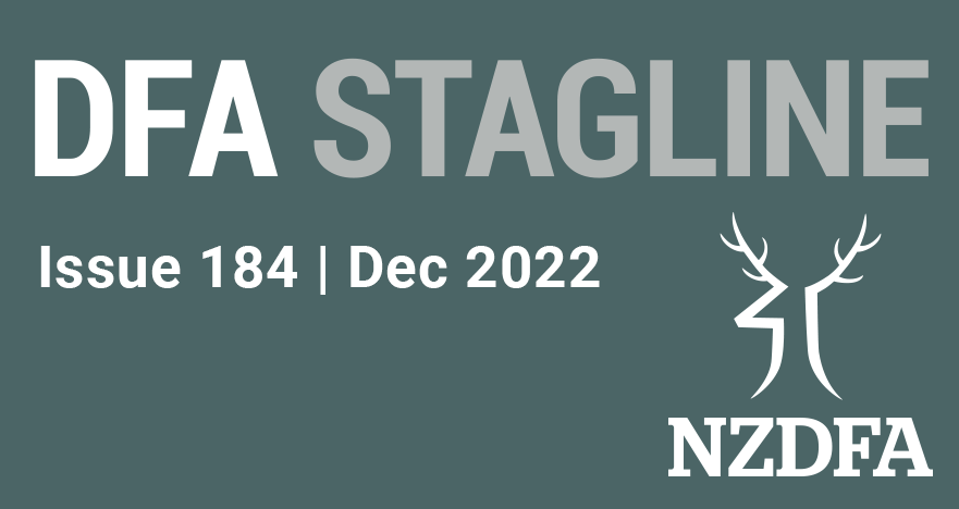 DFA Stagline landing image 184 Dec 2022