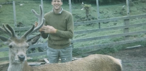 2 Deer Farm 1 photo 2