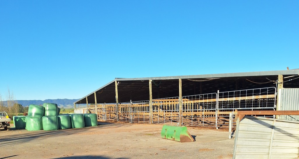 NG 3 deer shed outside view
